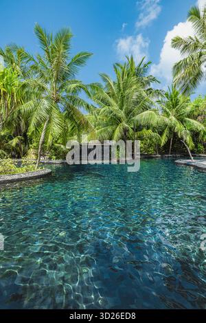 Luxuriöses tropisches Resort Pool mit Wasserfall, Palmen, exotischer Gartenlandschaft, ruhiges Urlaubsparadies Stockfoto