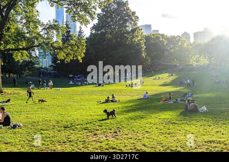 Menschen und ihre Hunde genießen die Nachmittagssonne an einem Sommerwochenende auf einem Rasen und Hügel im Central Park, Manhattan, New York City Stockfoto