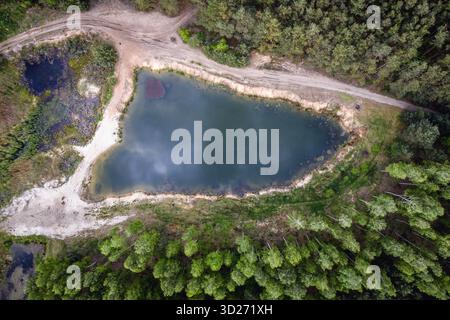 Kleiner künstlicher Teich im Wald in WeGrow County, Polen Stockfoto