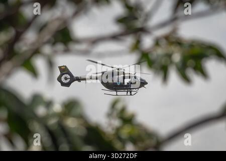 Ein getarnter Helikopter vom Typ H-145 der ecuadorianischen Luftwaffe (FAE) fliegt gegen einen hellen Himmel, der teilweise von verschwommenen Blättern im Vorgras verdeckt wird Stockfoto