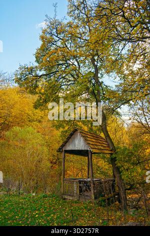 Eine kleine Holzkonstruktion befindet sich auf einem Feld aus Herbstlaub. Das Gebäude ist von Bäumen umgeben und er ist ein kleiner Pavillon oder Pavillon Stockfoto