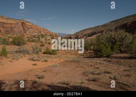 Blick über den Big Dominguez Canyon in Colorado Stockfoto