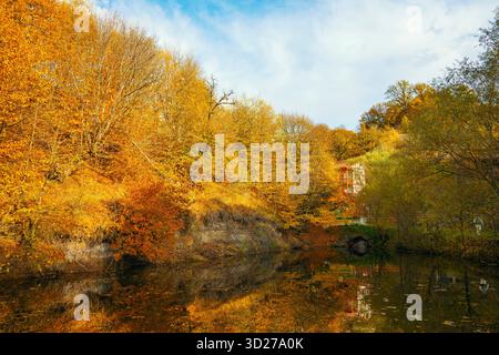 Das Bild fängt einen ruhigen und friedlichen Herbsttag mit einem wunderschönen Teich voller Blätter und einem Haus im Hintergrund ein. Die Bäume um den Pon herum Stockfoto