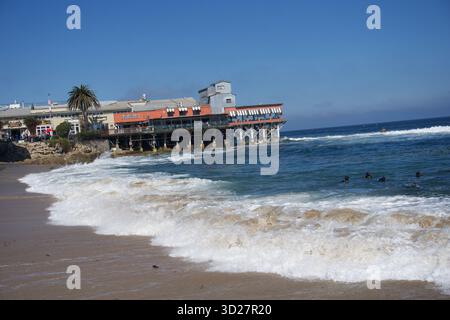 Taucher in der Cannery Row – Monterey Bay, Kalifornien Stockfoto