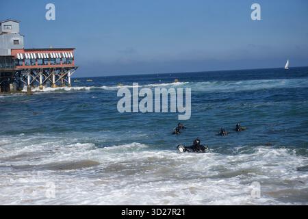 Taucher in der Cannery Row – Monterey Bay, Kalifornien Stockfoto