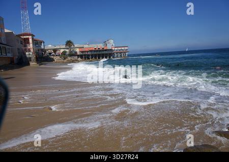 Taucher in der Cannery Row – Monterey Bay, Kalifornien Stockfoto