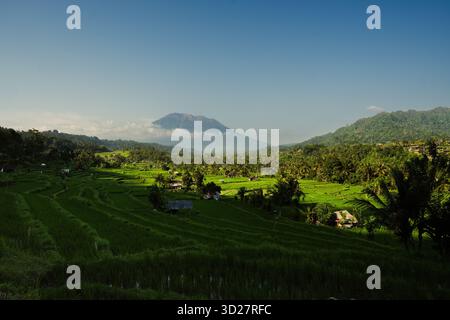 Sidemen Reisterrassen und Mount Agung – üppige grüne Felder und vulkanische Landschaft im ländlichen Bali, Indonesien Stockfoto