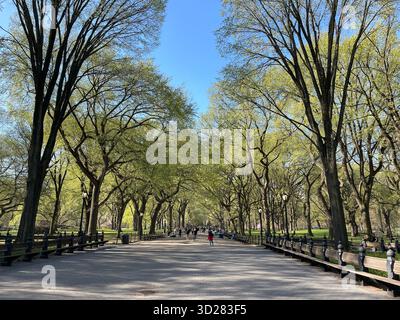 The Mall, Central Park NYC – eine majestätische Promenade gesäumt von Bäumen, die durch die wechselnden Jahreszeiten vor Schönheit erstrahlt. Stockfoto