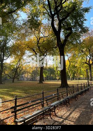 The Mall, Central Park NYC – eine majestätische Promenade gesäumt von Bäumen, die durch die wechselnden Jahreszeiten vor Schönheit erstrahlt. Stockfoto