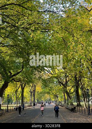 The Mall, Central Park NYC – eine majestätische Promenade gesäumt von Bäumen, die durch die wechselnden Jahreszeiten vor Schönheit erstrahlt. Stockfoto