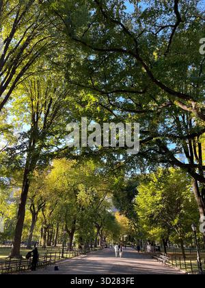 The Mall, Central Park NYC – eine majestätische Promenade gesäumt von Bäumen, die durch die wechselnden Jahreszeiten vor Schönheit erstrahlt. Stockfoto
