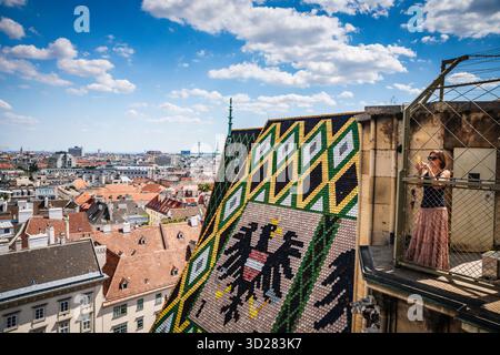 Wien, Österreich - 28. Juni 2019: Blick auf Wien vom Stephansdom Südturm. Stockfoto