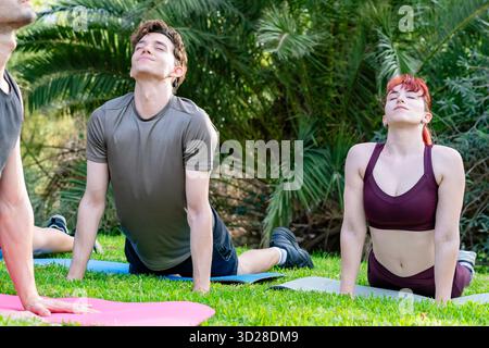 Junge Männer und Frauen üben Kobra-Posen auf Yogamatten in einem ruhigen grünen Park Stockfoto