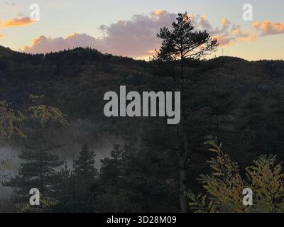 Herbstliche Berglandschaft am Grenzübergang Makaza zwischen Griechenland und Bulgarien in Ostthrakien. Nebelblick am Morgen auf bewaldete Hügel. Stockfoto