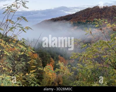 Herbstliche Berglandschaft am Grenzübergang Makaza zwischen Griechenland und Bulgarien in Ostthrakien. Nebelblick am Morgen auf bewaldete Hügel. Stockfoto
