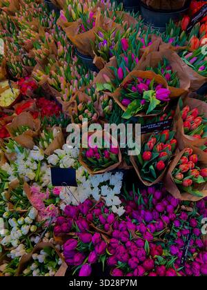 Lebhaftes Sortiment an frischen Tulpensträußen in verschiedenen Farben/Deutschland Stockfoto