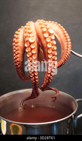 Frisch gekochter Tintenfisch aus dem Topf. Meeresfrüchte. Gesunde Ernährung. Kopierbereich. Nahaufnahme. Stockfoto
