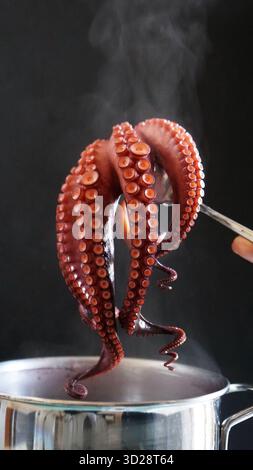 Frisch gekochter Tintenfisch aus dem Topf. Meeresfrüchte. Gesunde Ernährung. Kopierbereich. Nahaufnahme. Stockfoto