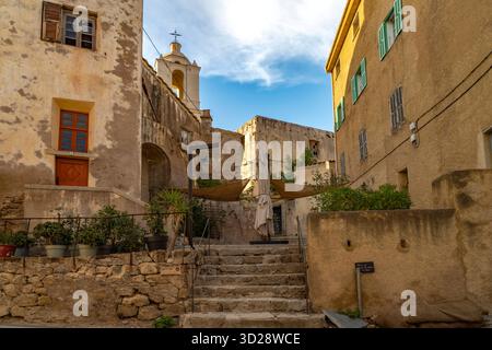 Zitadelle Calvi die Altstadt in der Zitadelle mit der Kirche St-Jean-Baptiste in Calvi, Balagne, Korsika, Frankreich die Altstadt an der Zitadelle mit Stockfoto