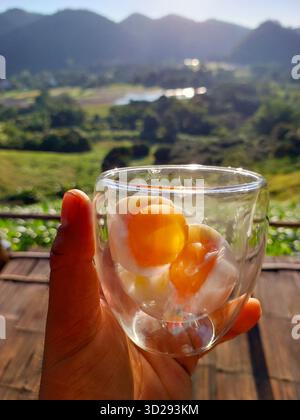 Selektiver Fokus auf zwei gekochte Eier im Glas in der Hand Landschaftshintergrund inmitten der Natur und Stockfoto