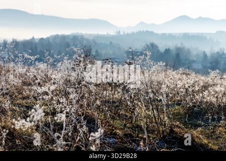 Nahaufnahme von trockenem Gras und frostbedeckten Pflanzen an einem Wintermorgen. Sanfte Hügel und nebelige Berge sind im Hintergrund zu sehen. Stockfoto