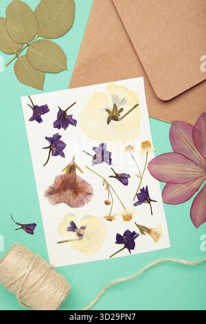 Gepresste und getrocknete Blüten mit Garn auf minzfarbenem Hintergrund. Vertikales Foto Stockfoto