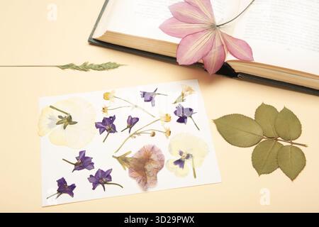 Gepresste und getrocknete Blüten mit Garn auf beigem Hintergrund. Stockfoto