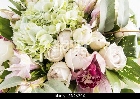 Festlicher Blumenhintergrund. Schöne Knospen von weißen Rosen, Hortensien, Frühlingsblumen. Nahaufnahme Stockfoto