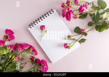 Festliche Komposition eines offenen Notizbuchs mit sauberen Laken und schönen rosa Gartenrosen. Draufsicht. Rosafarbener Hintergrund. Leerzeichen für Text Stockfoto
