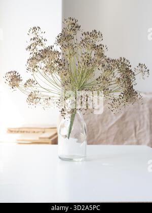 Minimalistische Komposition mit getrockneten Dill-Blüten in einer Glasflasche, die auf einem weißen Tisch platziert wird und ein einfaches und elegantes Arrangement schafft Stockfoto
