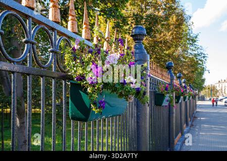 Bunte Blumen in Fensterkästen, die an einem Zaun im Stadtpark hängen Stockfoto
