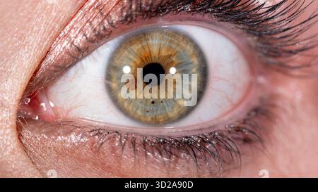 Ein detailliertes Makrofoto, das die einzigartigen Muster, Farben und Texturen einer menschlichen Iris zeigt. Das Bild hebt die komplizierten Details des Auges hervor. Stockfoto