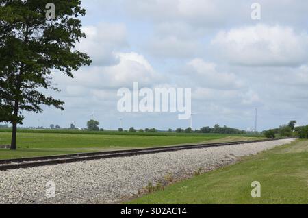 Eine Reihe von Eisenbahngleisen führt in die Landschaft, die einen Laubbaumwald trennen. Grünes Gras und Sträucher umranden die Gleise. Stockfoto