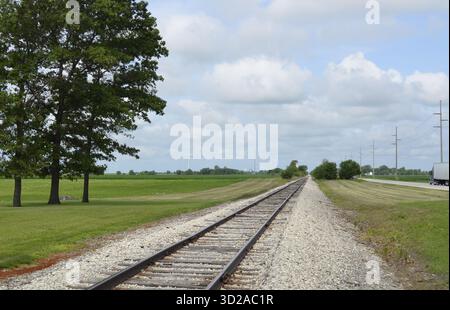 Eine Reihe von Eisenbahngleisen führt in die Landschaft, die einen Laubbaumwald trennen. Grünes Gras und Sträucher umranden die Gleise. Stockfoto
