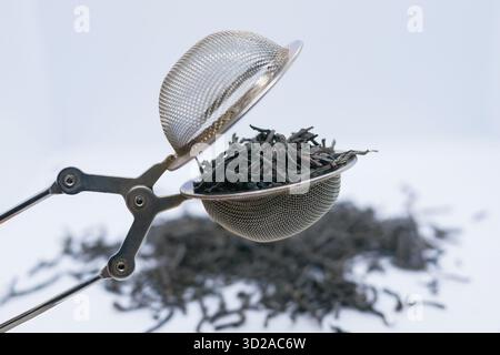 Schwarzer Tee mit losem Blatt in einem Tee-Infuser aus Edelstahl auf weißem Hintergrund. Konzepte der Teezubereitung, Bio-Getränke, gesunder Lebensstil und natürlich Stockfoto
