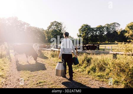 Rückansicht einer Farmerin, die mit Kanister und Eimer auf Weidekühe zugeht Stockfoto