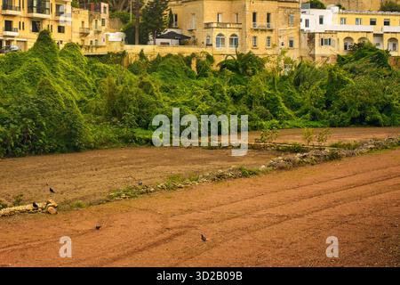 Bebaute Gartengrundstücke mit gepflügtem Boden in einem städtischen Gebiet, umgeben von historischer Architektur und üppigem Grün am Fuße eines Hügels. Stockfoto