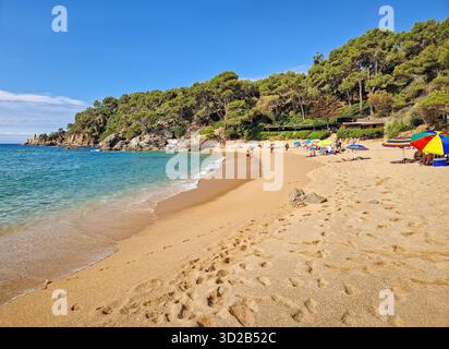 Playa Santa Cristina in Lloret de Mar an der Costa Brava, Spanien. Wunderschöner Strand mit feinem goldenem Sand und kristallklarem Wasser, geschützt von p Stockfoto