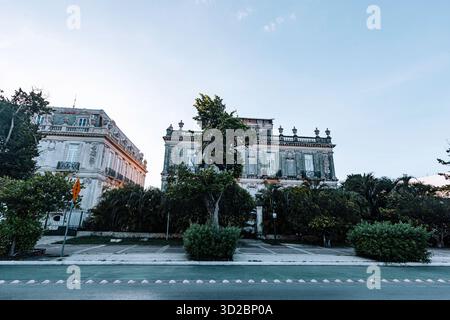 Merida, Yucatan, Mexiko, großes Gebäude mit einem Baum davor. Das Gebäude ist alt und hat viele Fenster Stockfoto