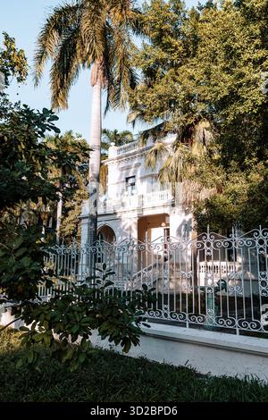 Merida, Yucatan, Mexiko, Weißes Haus mit einem weißen Zaun und einer Palme davor. Das Haus ist von einem üppig grünen Rasen umgeben Stockfoto