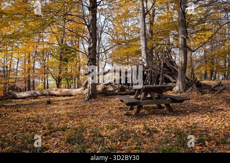 Ein Picknicktisch sitzt in einer Waldlichtung, umgeben von herabfallenden Blättern. In der Nähe steht ein Stabbau, der vielleicht von Kindern zum Spielen im Autu gebaut wurde Stockfoto
