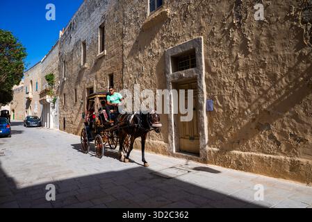 Pferdekutsche auf der sonnendurchfluteten Kalksteinstraße in Mdina, Malta Stockfoto