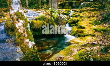 Klarer Waldbach umgeben von moosigen Felsen und Bäumen mit herbstlichen Farben in ruhiger natürlicher Umgebung Stockfoto