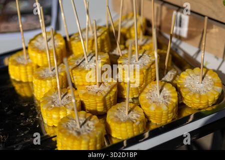 Selektiver Fokus geschnitten ​​yellow Mais gekocht und gekocht auf vielen Spießen in einem Tablett. Anbieter garantieren die Frische und Süße der Maissorten Stockfoto