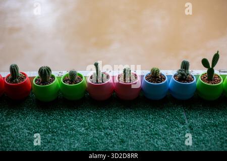 Selektiver Fokus Miniatur-Kaktuspflanzen in Plastiktöpfen in vielen Farben. Auf einen Tisch gestellt, der mit grünem Kunstrasen bedeckt ist. Es gibt einen Tex Stockfoto