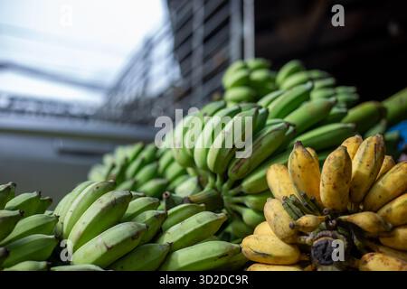 Selektiver Fokus. Viele Bananen stapelten sich auf dem Bananenmarkt. Es gibt reife gelbe Bananen Stockfoto