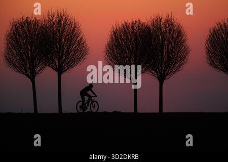Radfahrer fahren auf der Straße mit Bäumen kurz nach Sonnenuntergang, der Himmel ist rot-lila gefärbt Stockfoto