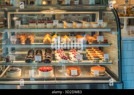 Verschiedene Käsekuchen, Tiramisu und Schokoladengebäck sind auf mehreren Regalen in einem gut beleuchteten Backwarenschrank angeordnet. Stockfoto