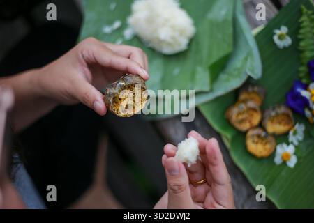 Selektiver Fokus Ricefield-Krabben in ihren Muscheln. Sehen Sie Na beim Essen zu und dekorieren Sie den Teller mit natürlichen Blumen. Essen Sie mit klebrigem Reis, der in Bananenlaub gewickelt ist Stockfoto