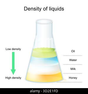 Dichte der Flüssigkeiten. Experimentieren Sie mit Milch, Honig, Wasser und Öl in Laborkolben. Chemische Reaktion. Vektorabbildung Stock Vektor